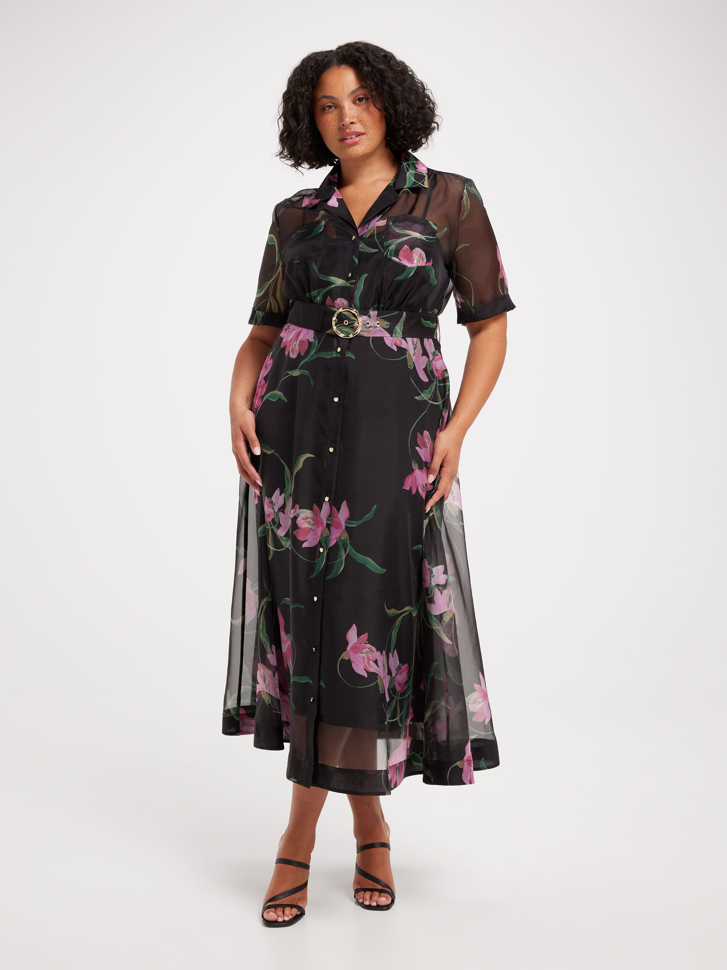 Curve Anastasia Printed Dress
