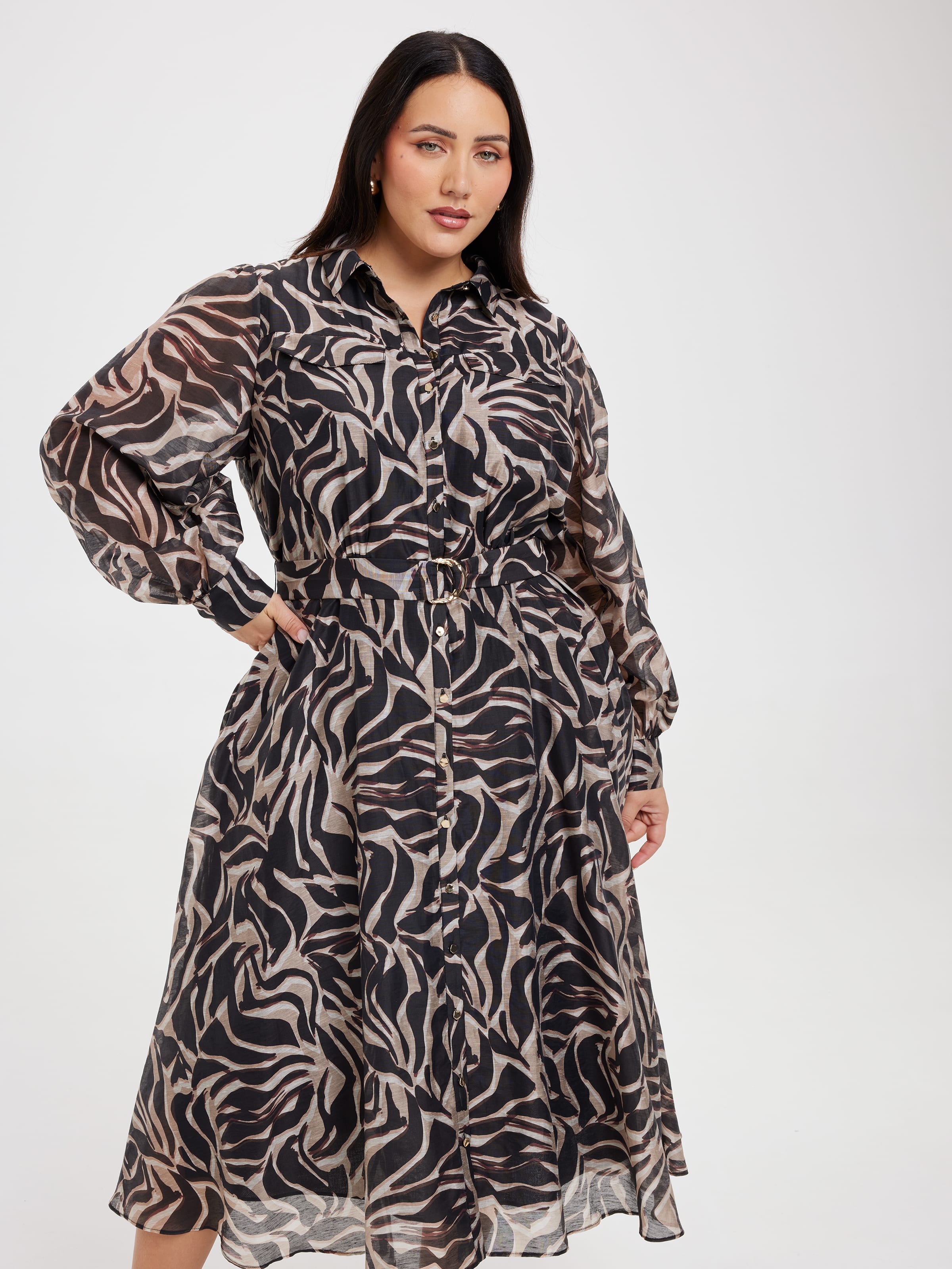 Curve Magnolia Shirt Dress