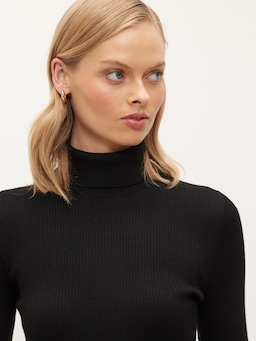 Miriam Ribbed Roll Neck Knit