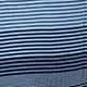 Blue Stripe