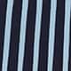 Navy Skyway