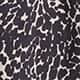 Dalmatian Spot