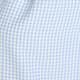 Blue Gingham