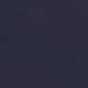 Russian Navy