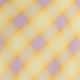 Bright Check