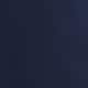 Russian Navy