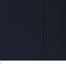 Russian Navy