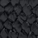 Black Neutral