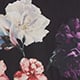 Botanical Blooms