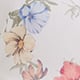Amalfi Rose