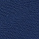Russian Navy