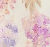 Wisteria Floral