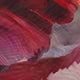Painted Pansy