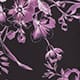 French Toile