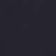 Russian Navy