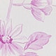 French Toile