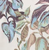 Vintage Vine
