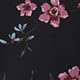 Tulip Scatter