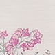 Sakura Blossom