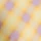 Bright Check