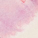 Aura Floral