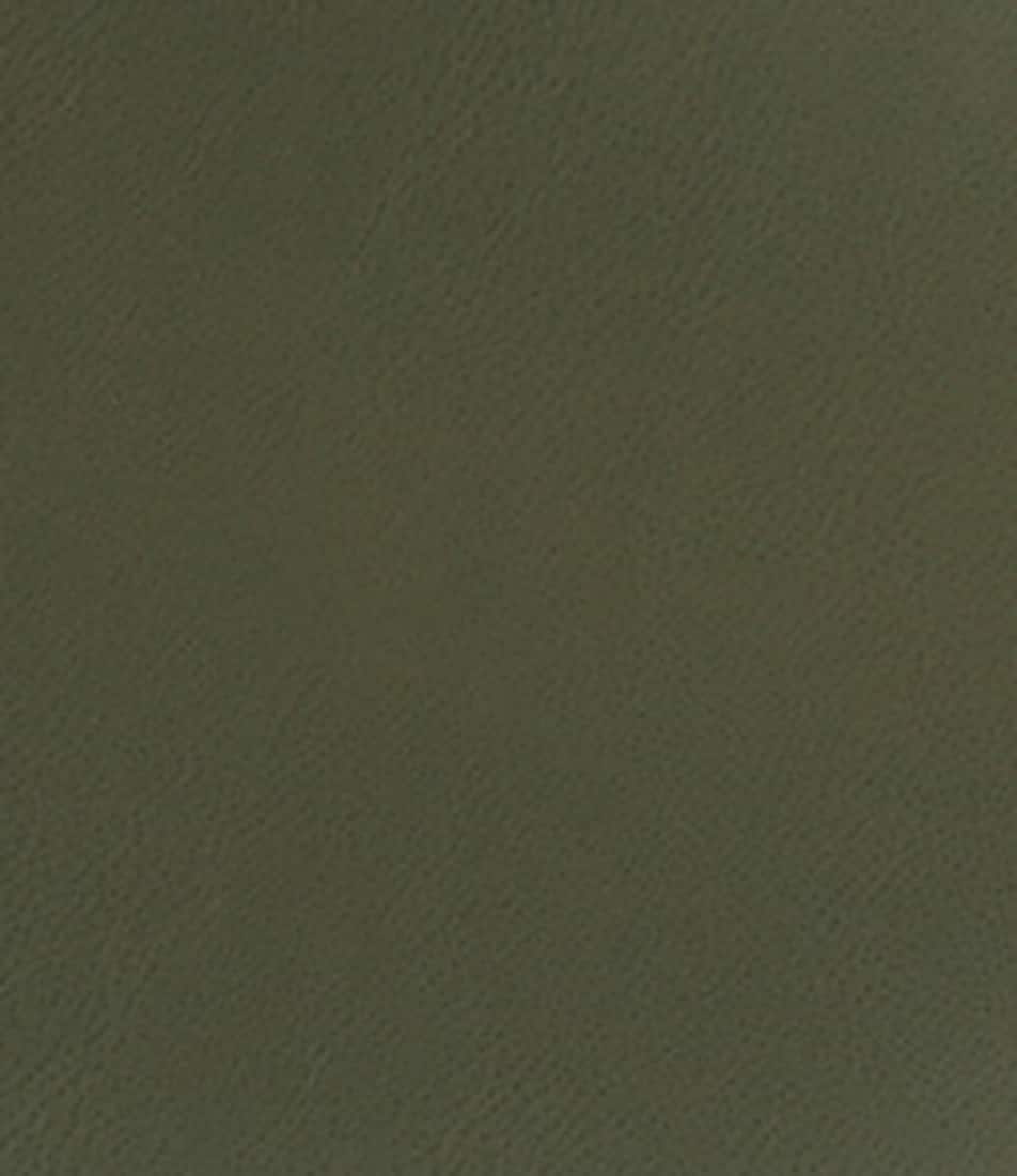 Dusted Olive