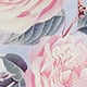 Rose Garden