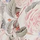 Rose Garden White