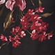 Tulip Scatter