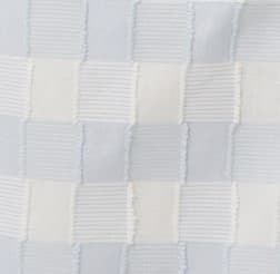 Blue Gingham